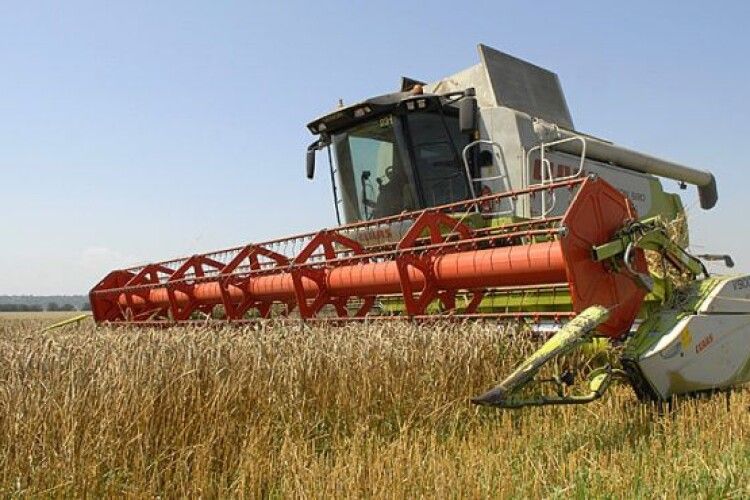 Жнива-2021: Волинь – серед лідерів за врожайністю зернових