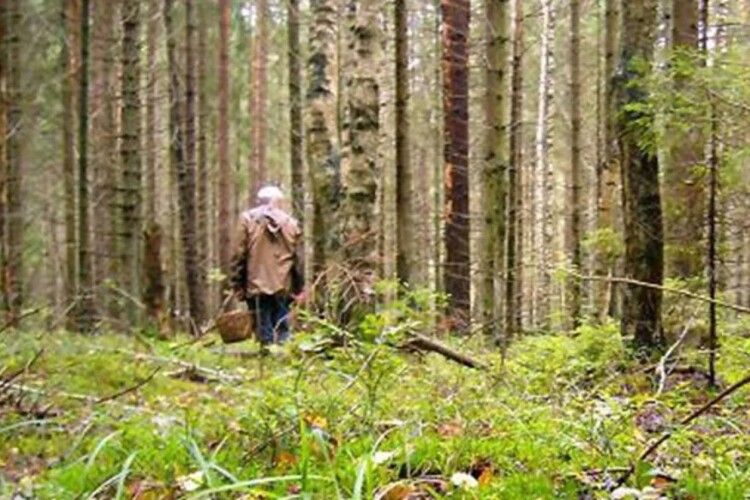 Небайдужість сусідки врятувала загубленого грибника на Львівщині