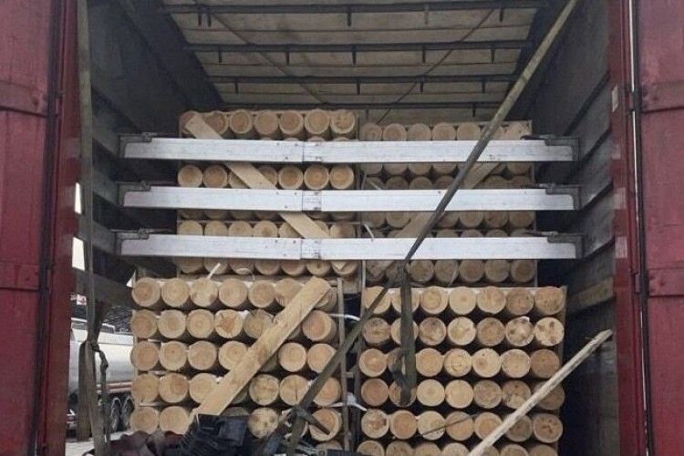 Волинські митники затримали 20 тонн деревини з порушенням митних правил (Фото)