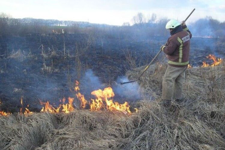 На Камінь-Каширщині виявили двох винуватців загорянь в екосистемах