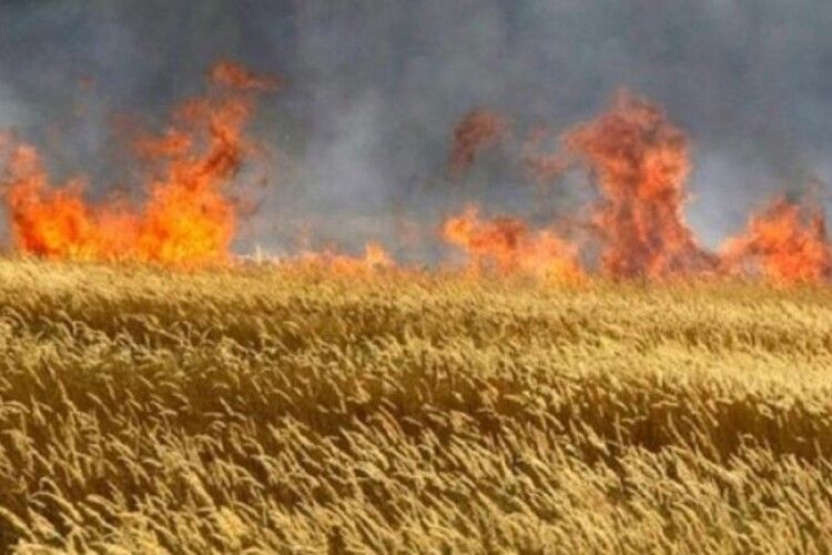 В Луцькому районі горіло 4-гектарне поле ячменю