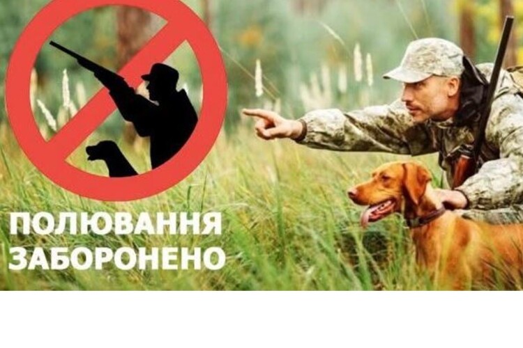 На Волині попереджають мисливців: полювання – заборонено!