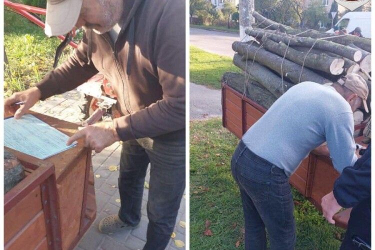 У Луцьку в парку «на гарячому» спіймали чоловіка, який різав дрова на зиму (Фото)