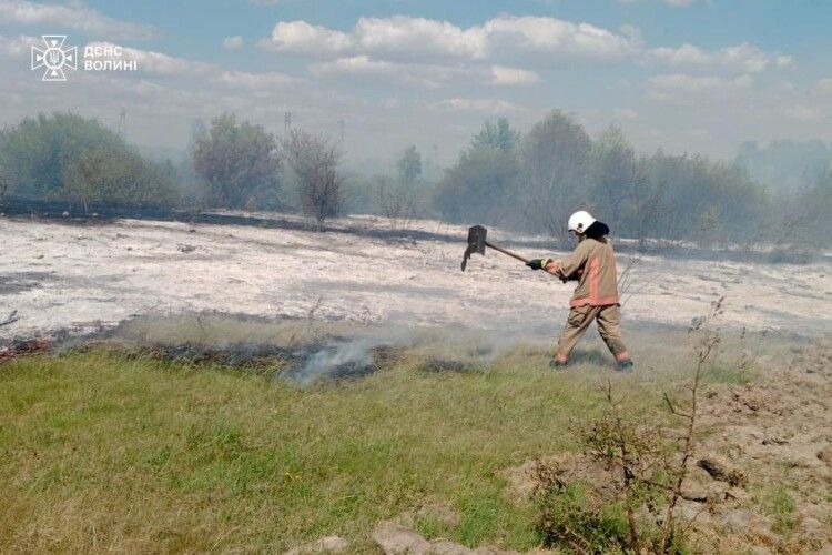 На Ковельщині вигоріло три гектари сухої трави