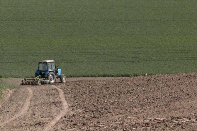 На Волині цієї весни засіють рекордну площу сої