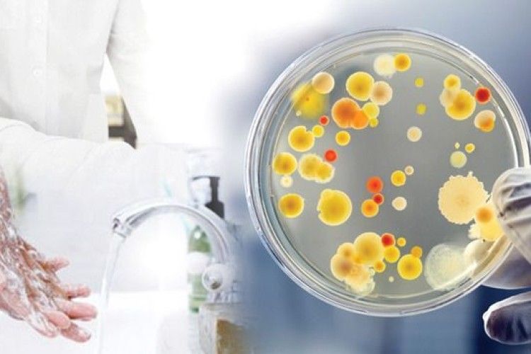 У луцькому кафе отруїлись салатом з куркою