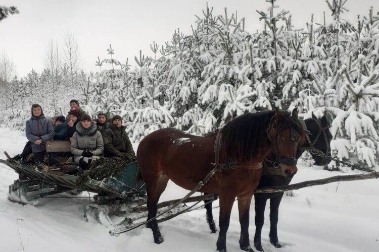На Волині учні Рудниківського шкільного лісництва «накрили галявину» для дикої звірини (Фото)