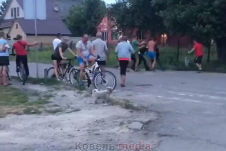 У Ковелі біля ліцею виникла бійка з поліцейськими
