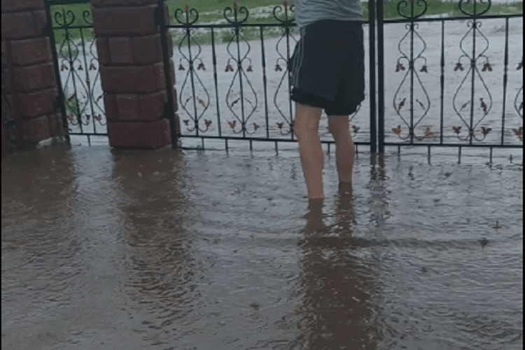У селі на Рівненщині вдруге за тиждень затоплює подвір’я й городи (Відео)