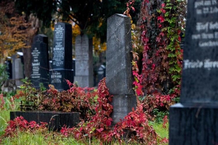 Підлітки «сходили в туалет» на пам’ятники померлих і зняли це на камеру (Відео)