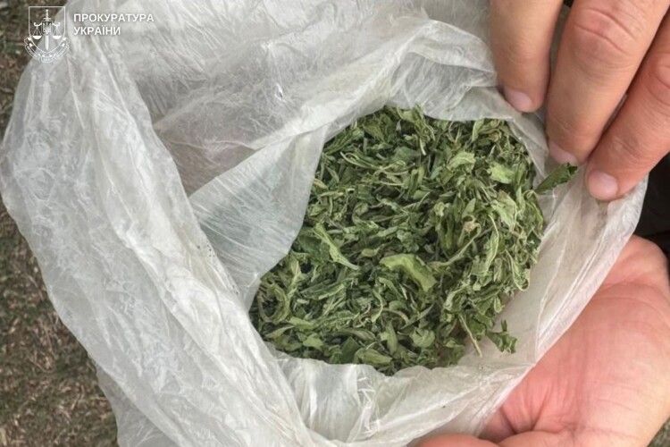 Домашній арешт замість СІЗО: на Волині затримали наркоторговця