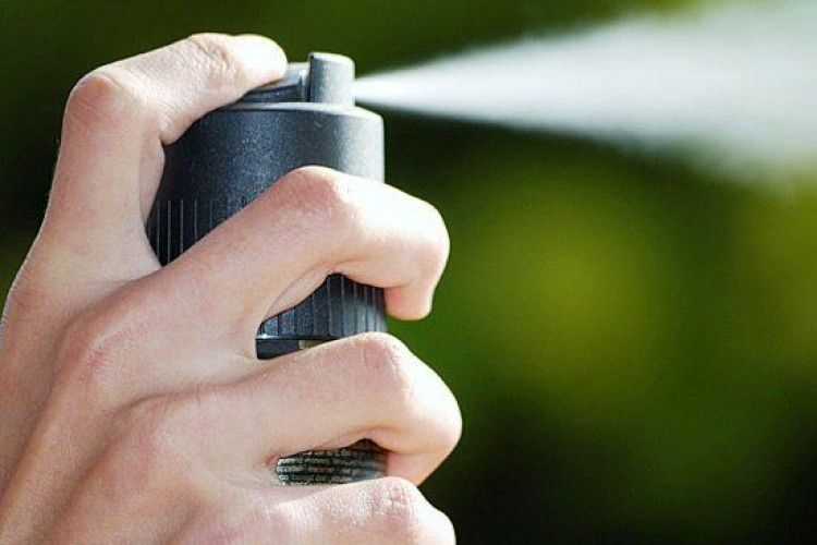 У Ківерцівському районі поліція розслідує незаконну порубку лісу та опір лісовій охороні