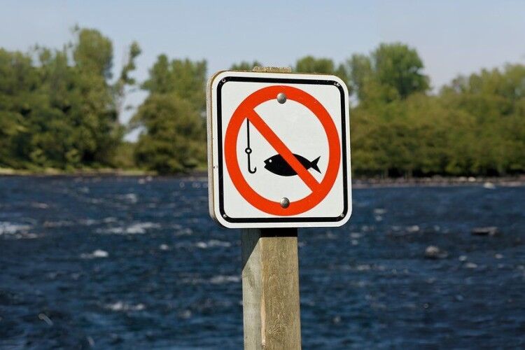 На Волині стартує нерестова заборона на вилов риби