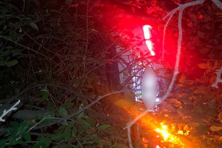 У Луцьку вночі автомобіль злетів в кювет (Фото) 