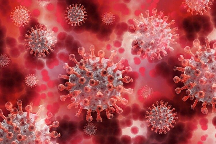 На Вінниччині померли троє людей, інфікованих «Дельта»-штамом коронавірусу