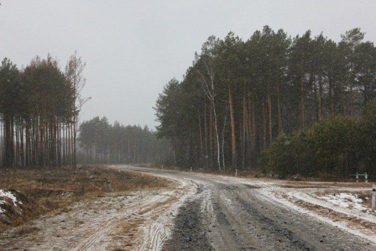 У минулому році на Волині збудували та відремонтували 83 кілометри лісових доріг