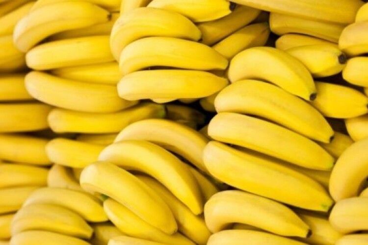 Вчені попереджають про зникнення бананів