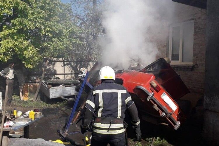 У Рівному червоний півень атакував червоний «Жигуль» (фото)
