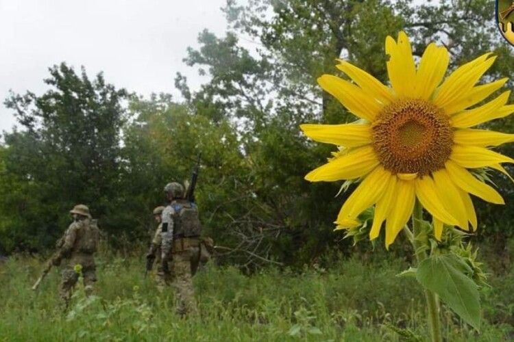 «Окупанти спішно біжать з позицій»: Синєгубов заявив, що ЗСУ на Харківщині виходять до кордону з рф (Відео)