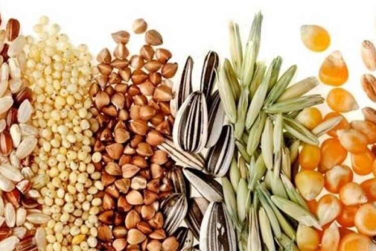 Українські виробники одержали право експортувати насіння зернових до країн Євросоюзу