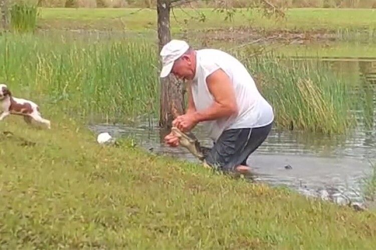 74-річний чоловік голіруч урятував цуценя з пащі алігатора (Відео)