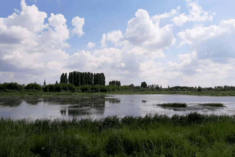 У Луцьку розчистять заплаву заради водного туризму: уже закупили човни