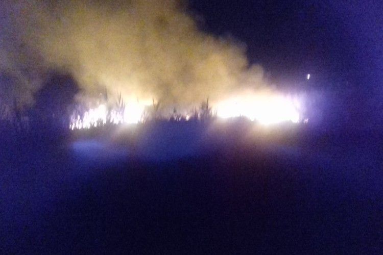 На Рівненщині пожежники гасили майже півгектара чагарників