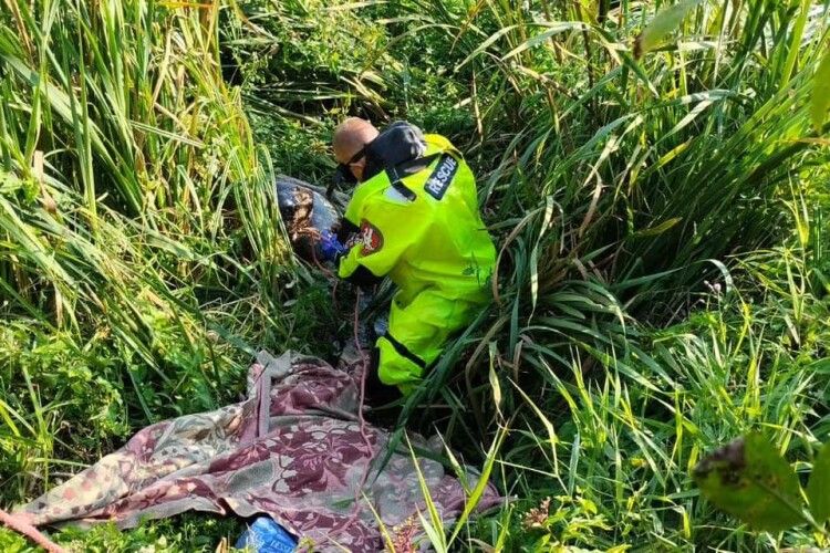 Зник тиждень тому: на Волині водолази дістали з річки мертве тіло 