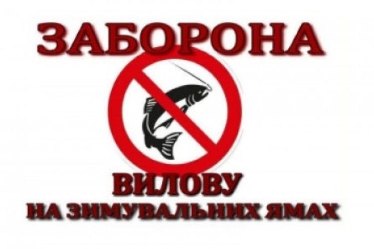 Вилов риби на зимувальних ямах у водоймах Волинської області заборонено!