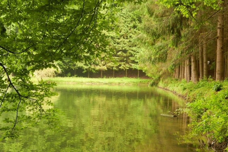 Земля з озером за 9 мільйонів гривень на Волині чекатиме нового орендаря