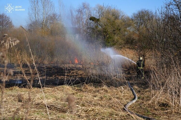На Волині за добу вигоріло 13 гектарів землі