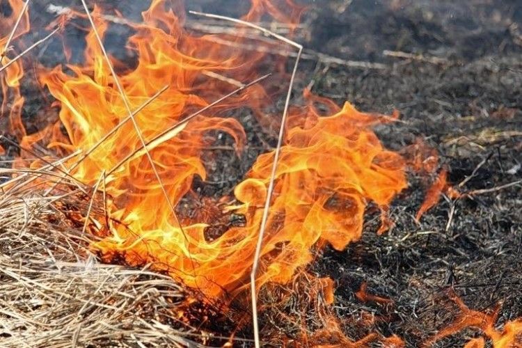 Будьте особливо пильними в суху погоду: загоряння стаються від маленької іскри 