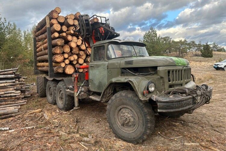 Розкрадають ліс: на Рівненщині зупинили лісовоз з «липовими» документами