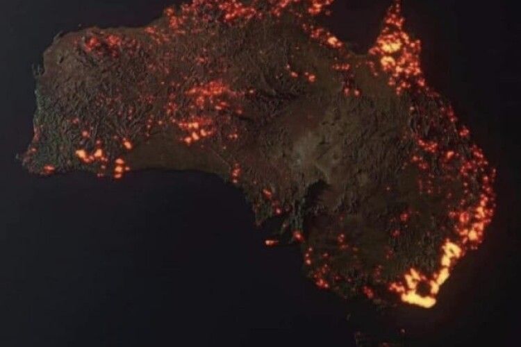 П'ять мільйонів гектарів згорілих лісів, 500 мільйонів загиблих тварин – в Австралії не вщухають лісові пожежі