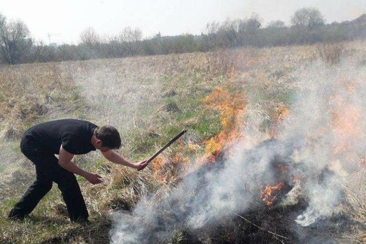 Муніципали гасили пожежу на березі Стира (Фото)