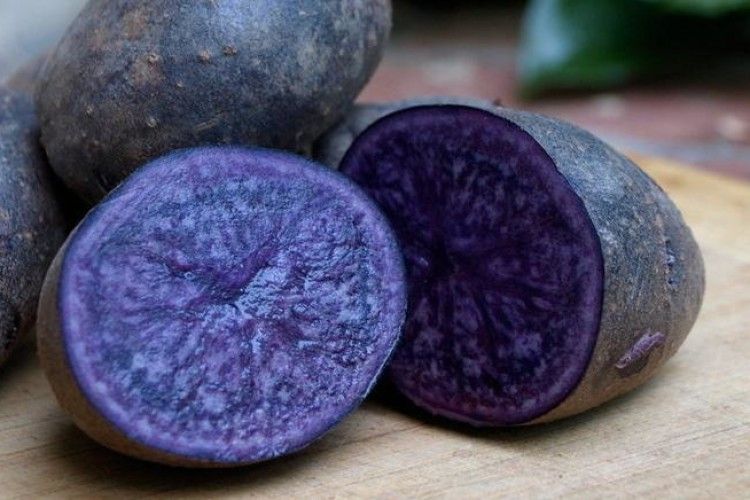 Лікувальну картоплю вирощують жителі Перу