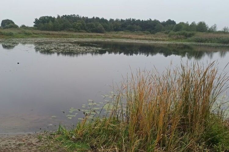 У Литовезькій громаді чоловік додумався мити авто в річці