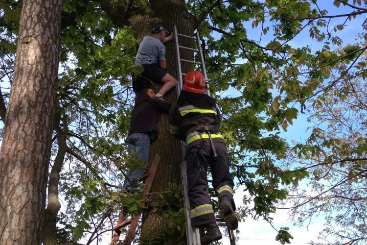 Рятувальники зняли з дерева чоловіка з котом
