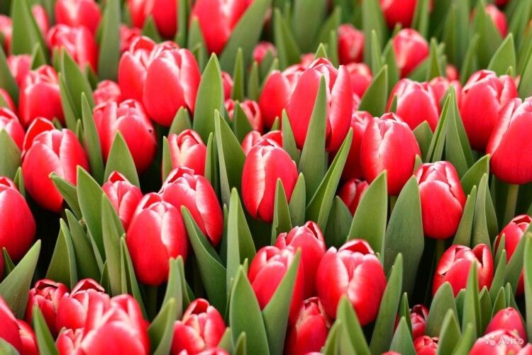 Якою буде погода на Волині в ці дні