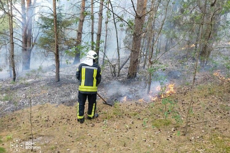 На Волині виявили палія сухостою та жнивних залишків: чоловік отримав штраф