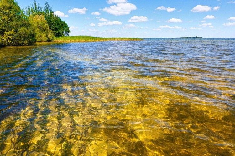 На волинських озерах провели лабораторні дослідження: результати 