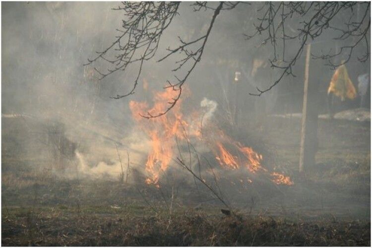 Спалював бур'яни: 80-річний чоловік загинув під час пожежі на власному городі