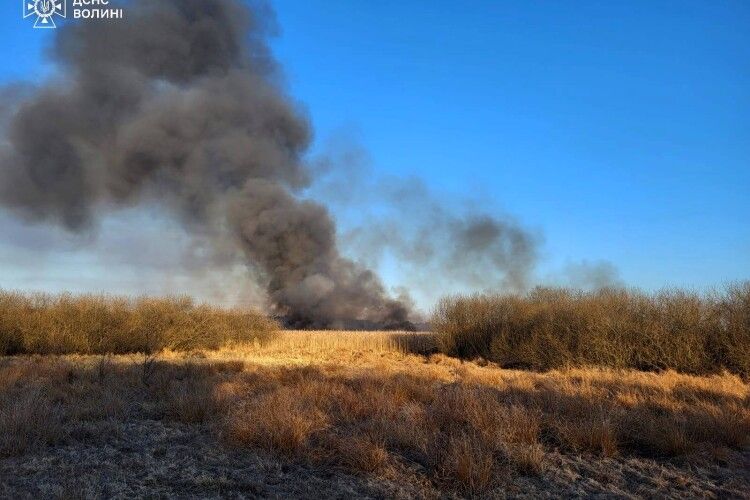 На Волині відкрили «полювання» на паліїв