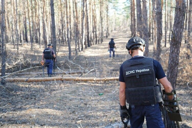 Волинські піротехніки вилучили 126 боєприпасів на територіях Донеччини та Чернігівщини