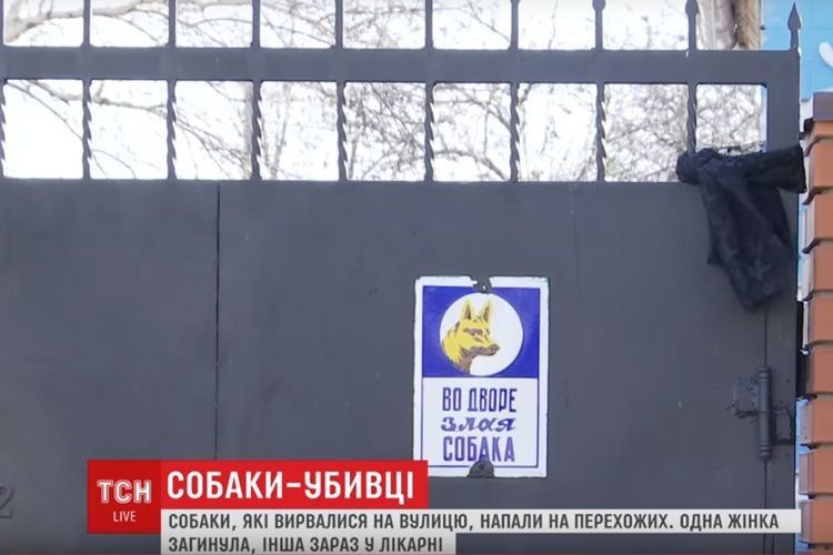 Пси загризли на смерть жінку просто посеред вулиці