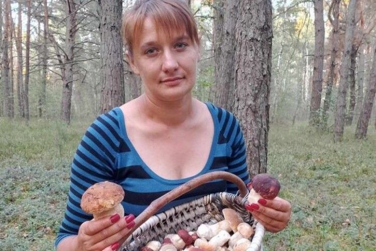 Де на Волині найбільше збирають грибів (Відео, фото)