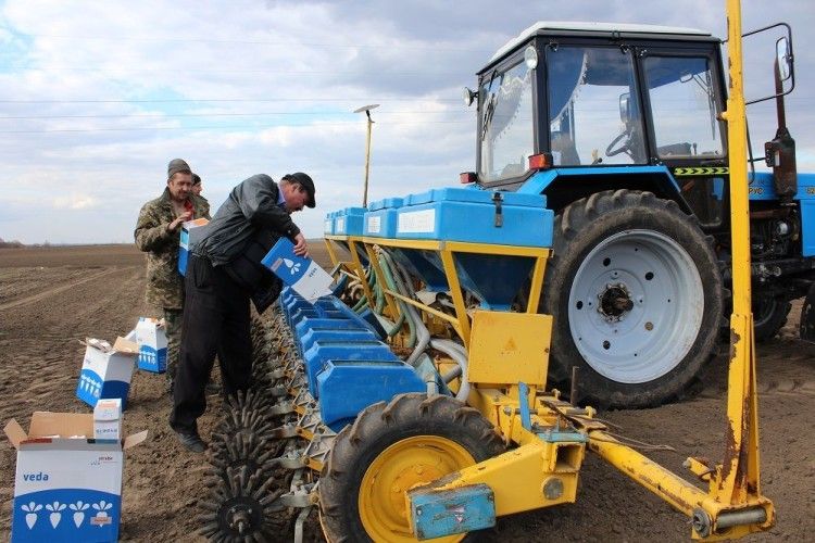 На Волині вже сіють цукрові буряки