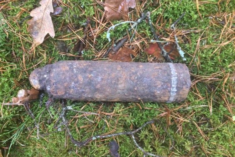 На Поліссі піротехніки знешкодили дві бомби