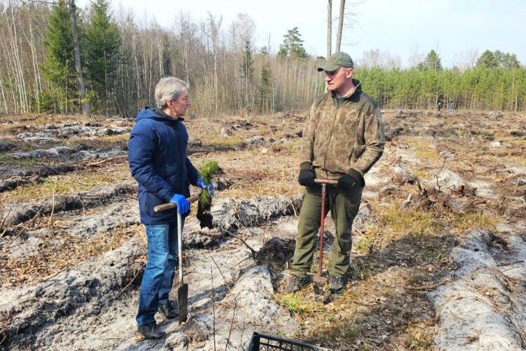 Мер Ковеля з колегами посадив два гектари лісу