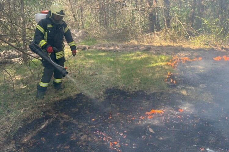 Вогонь міг знищити природні скарби: на Волині через куріння горів ліс 